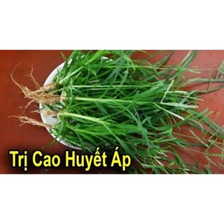 Mần trầu khô đẹp 100g