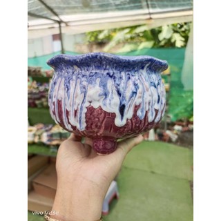 Chậu men chảy
