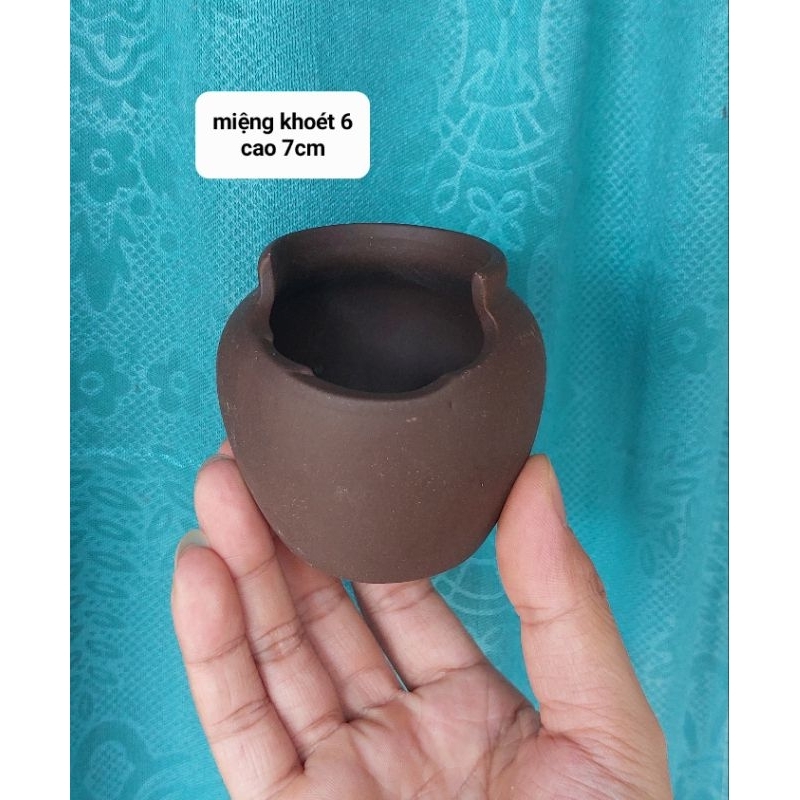 Chậu chum đất nung đủ kiểu trồng sen đá trồng cây mini