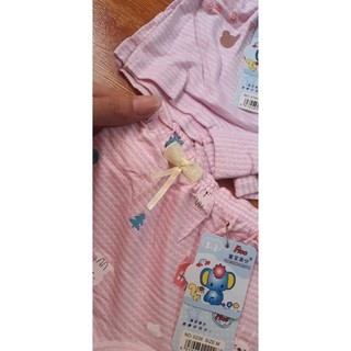 Quần chip đùi chất cotton thông hơi
