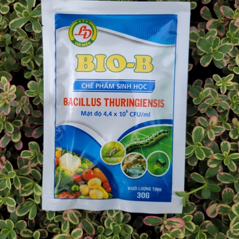Chế phẩm trừ sâu sinh học BioB