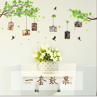Decal Dán Tường Mẫu Khung Ảnh Trang Trí