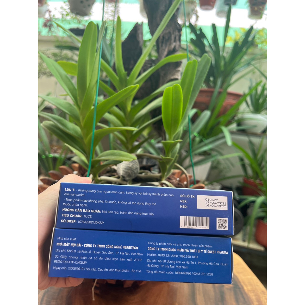 Thiên Khí Vương – Chiết xuất thiên nhiên giúp tăng cường sức khỏe, giảm mệt mỏi - Hộp 30 viên - NT Bình An