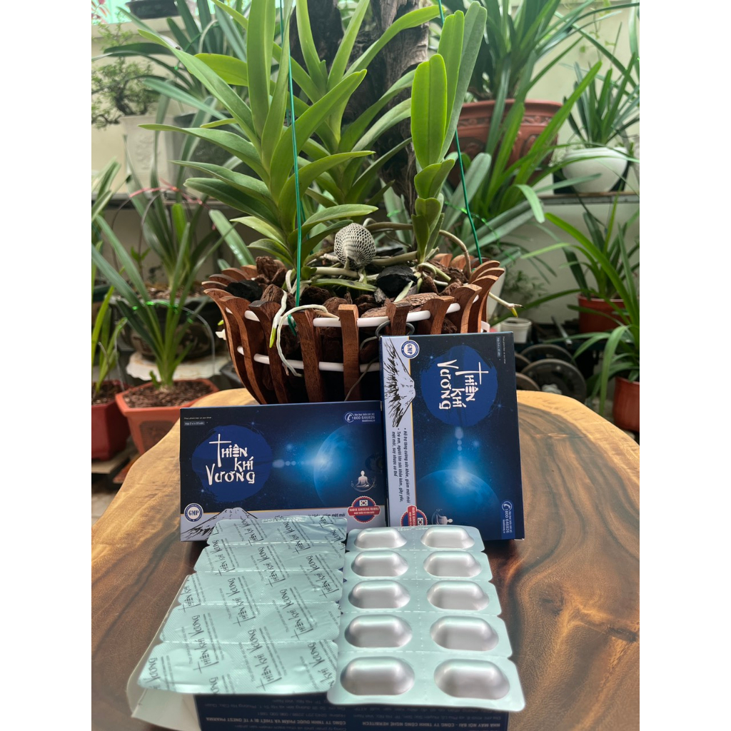 Thiên Khí Vương – Chiết xuất thiên nhiên giúp tăng cường sức khỏe, giảm mệt mỏi - Hộp 30 viên - NT Bình An