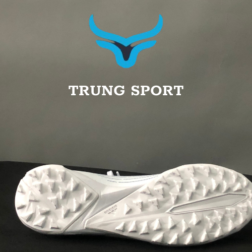 GIÀY NAM BÓNG ĐÁ CHÍNH HÃNG SÂN CỎ NHÂN TẠO SÂN 5, SÂN 7 ADIDAS PRETADOR EDGED.3 TF TRẮNG/XANH
