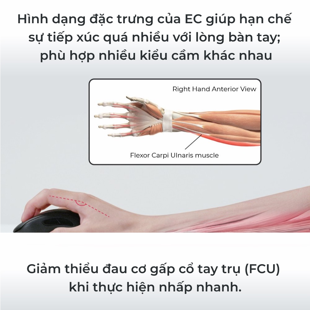 Chuột gaming không dây ZOWIE EC2-CW
