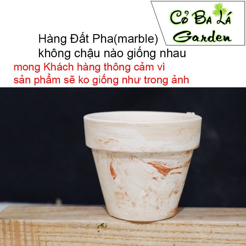 Chậu đất nung marble mini,phù hợp trồng xương rồng sen đá