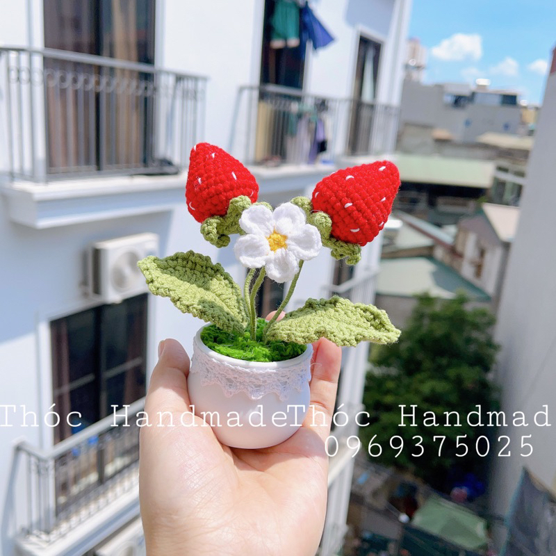 Chậu Hoa mini bằng len Handmade làm quà tặng/trang trí