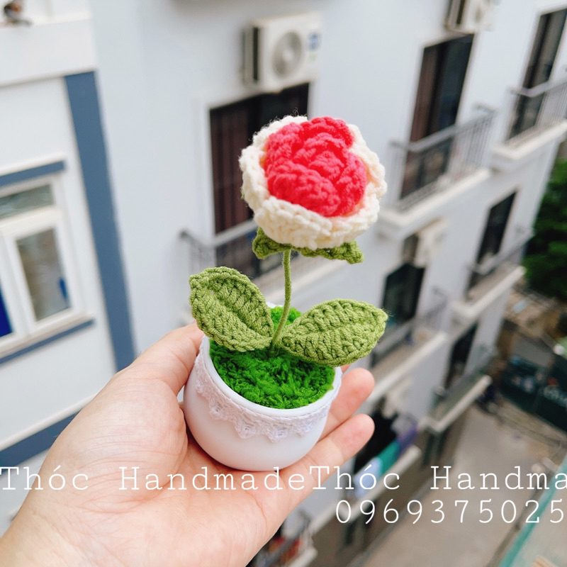 Chậu Hoa mini bằng len Handmade làm quà tặng/trang trí