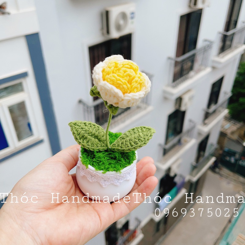 Chậu Hoa mini bằng len Handmade làm quà tặng/trang trí