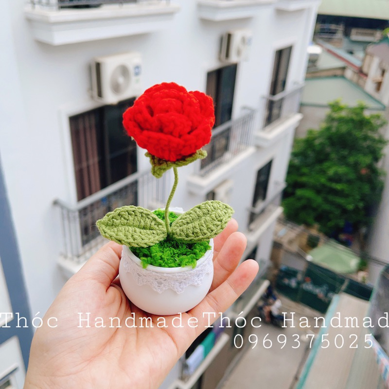Chậu Hoa mini bằng len Handmade làm quà tặng/trang trí