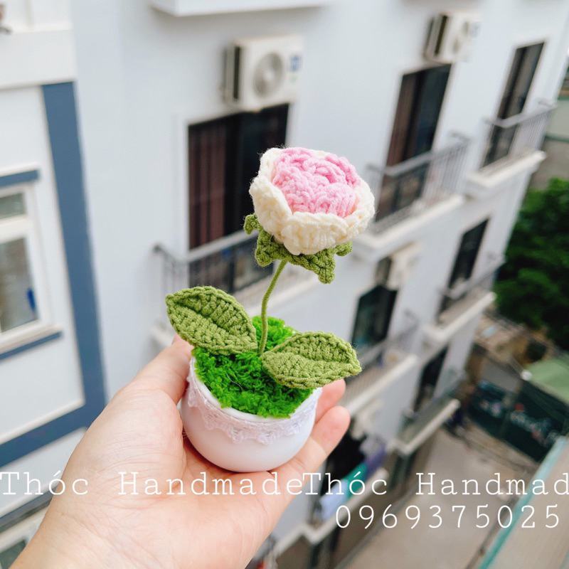 Chậu Hoa mini bằng len Handmade làm quà tặng/trang trí