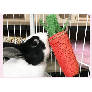 Cà rốt xơ mướp mài răng cho thỏ,hamster, bọ, sóc,...