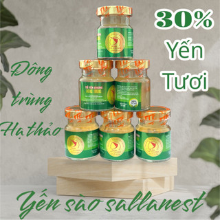 [ Toàn quốc ] Yến chưng đông trùng Salanest 30% tố yến( 6 hủ / hộp )- sức khỏe vàng cho mọi nhà
