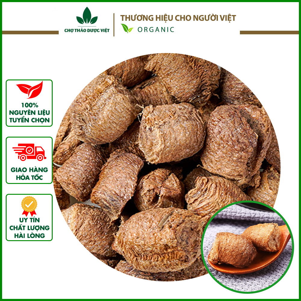 Tang phiêu tiêu 100g, tổ bọ ngựa, nguyên tổ, khô, sạch - Chợ Thảo Dược Việt