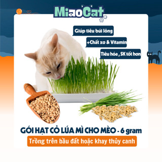 Gói Hạt Gieo Trồng Cỏ Lúa Mì Cho Mèo MI206 MiaoCat