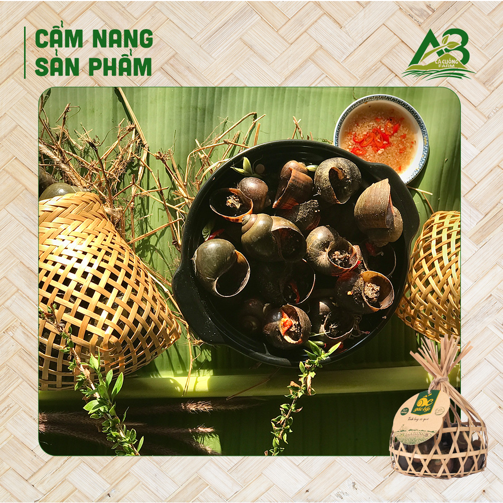 Ốc Lác SẠCH Gác Bếp 500g Giỏ Tre Béo Ngậy Không Chất Bảo Quản