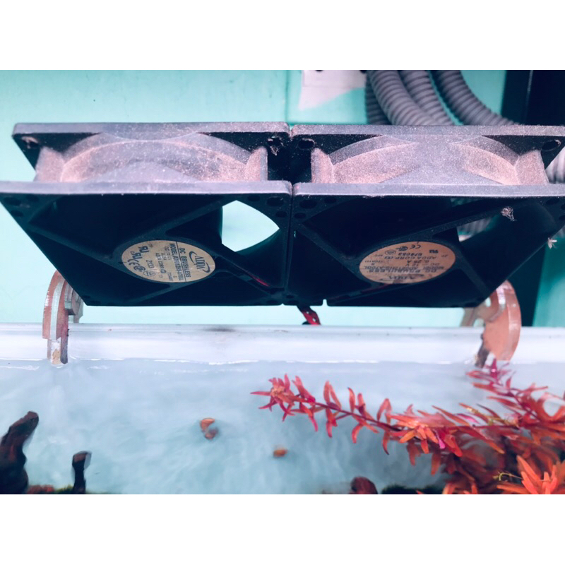 Chân quạt mica | chân nấm ACRYLIC cao cấp