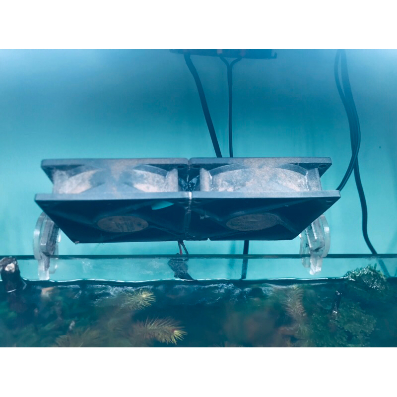 Chân quạt mica | chân nấm ACRYLIC cao cấp