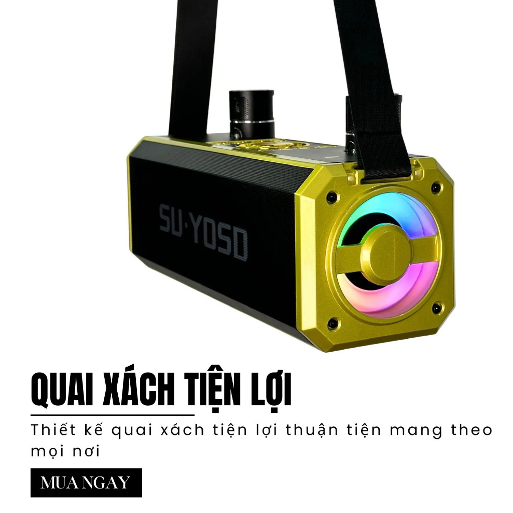 Loa Bluetooth Karaoke YS228 - Âm Bass Cực Chắc Kèm 2 Micro Không Dây - Bảo Hành 6 Tháng