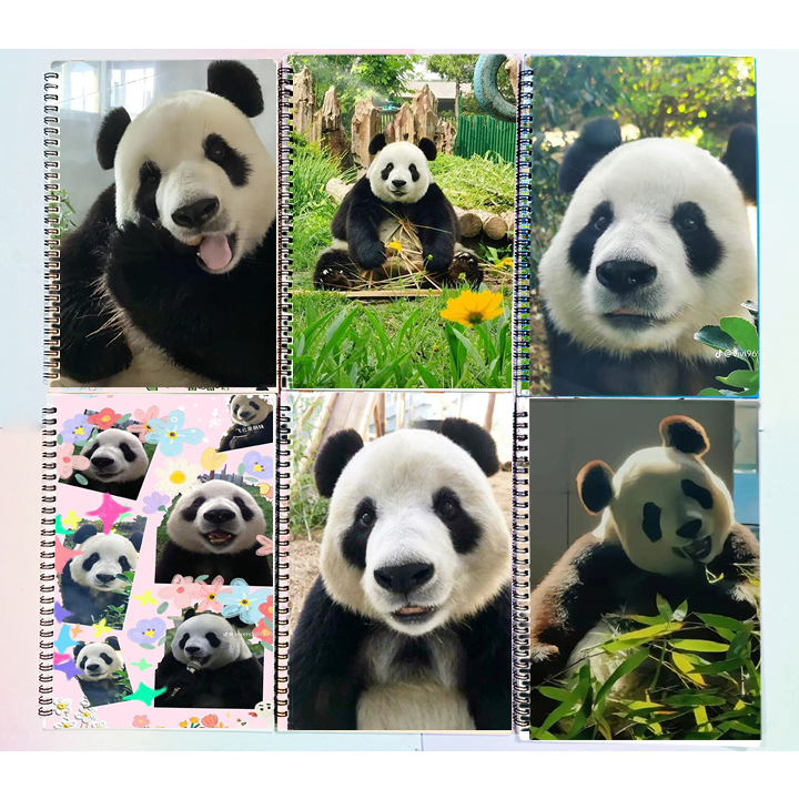 Sổ lò xo Gấu trúc manh lan hoa hoa phúc bảo phi vân thất tử Pandabiz SLI6 rilakkuma 60 trang 17x25cm