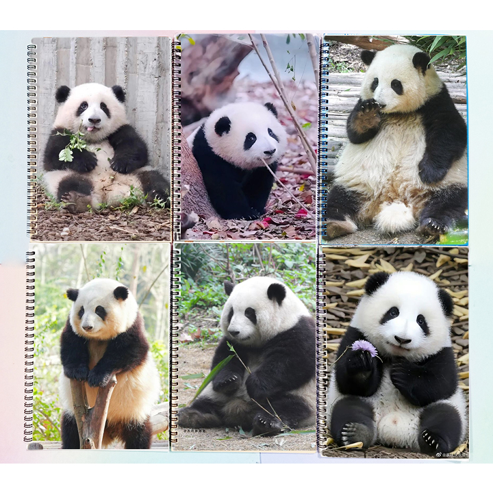 Sổ lò xo Gấu trúc manh lan hoa hoa phúc bảo phi vân thất tử Pandabiz SLI6 rilakkuma 60 trang 17x25cm