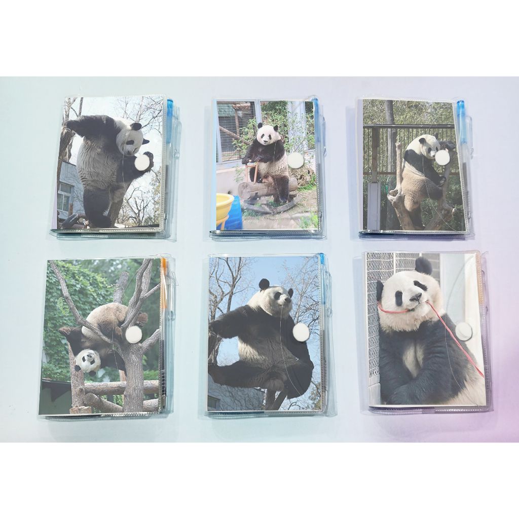 Sổ kèm bút Gấu trúc manh lan hoa hoa phúc bảo phi vân thất tử Pandabiz SB20 gấu rilakkuma hoạt hình cute dễ thương