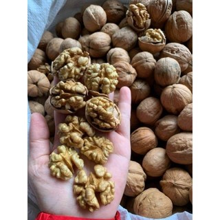 Nhân óc chó nếp bóc tay(hút chân không)
