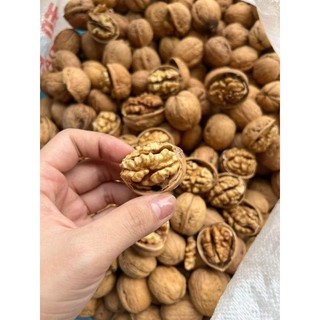 Nhân óc chó nếp bóc tay(hút chân không)