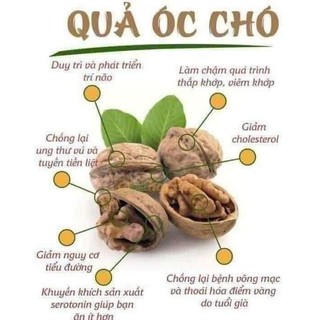 Nhân óc chó nếp bóc tay(hút chân không)