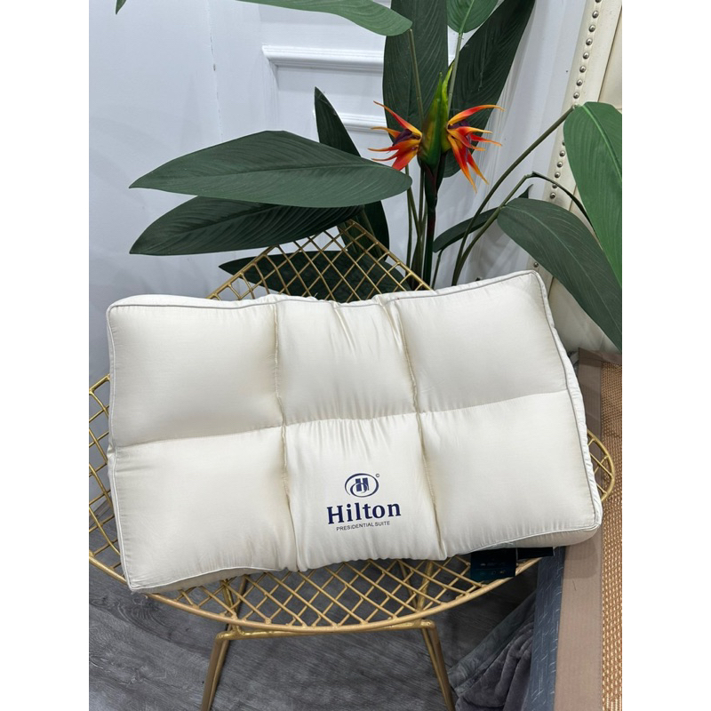 Ruột gối massage Hinton chuẩn khách sạn 5* kích thước 50-70- Giá 1 cái