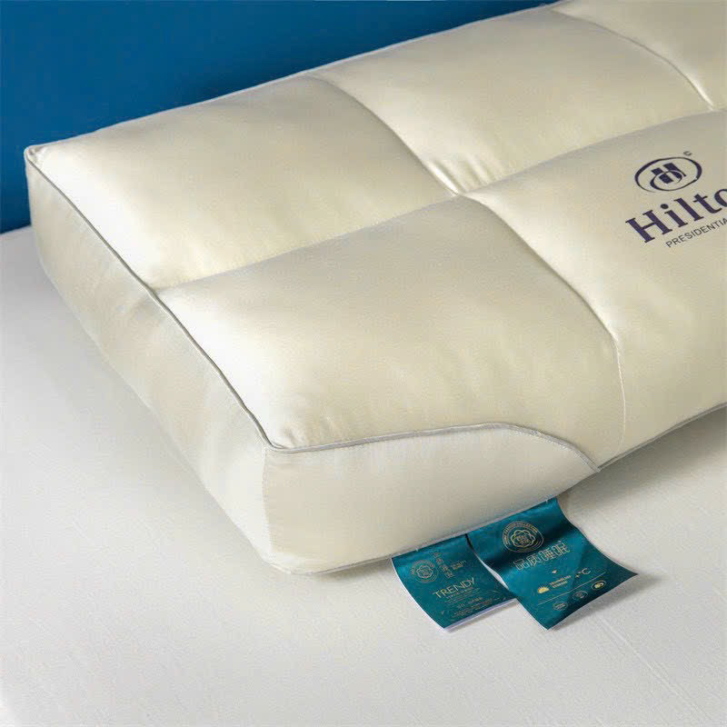 Ruột gối massage Hinton chuẩn khách sạn 5* kích thước 50-70- Giá 1 cái