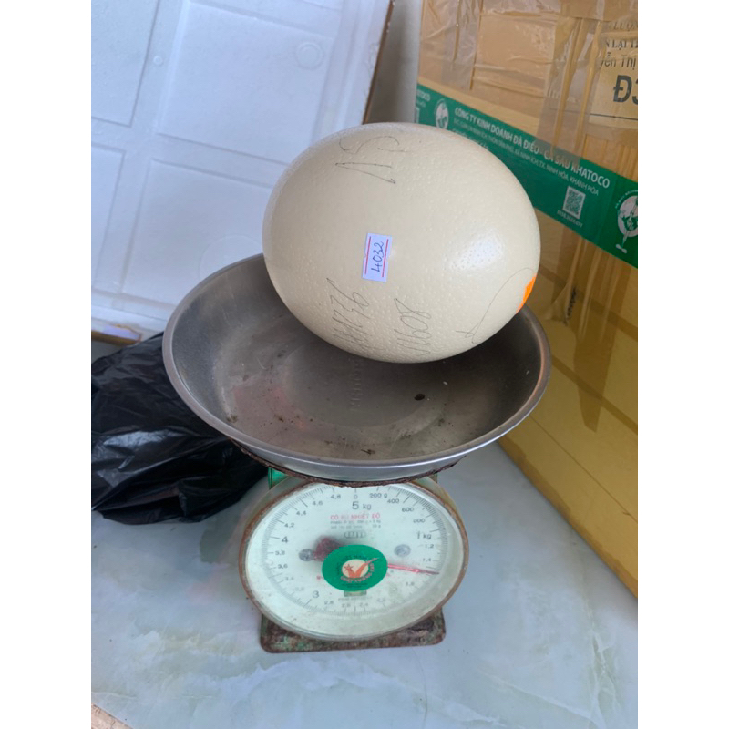 Trứng đà điểu Khatoco - Đài Việt Foods