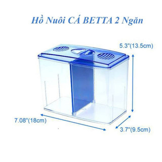 Hồ nuôi cá betta 2 ngăn bằng nhựa