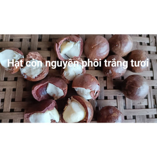 Hạt mắc ca túi 1 hạt