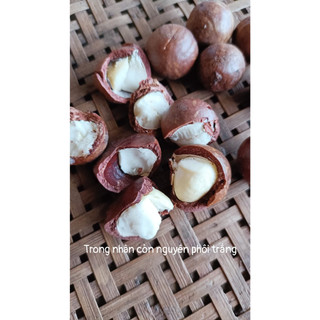 Hạt mắc ca túi 1 hạt