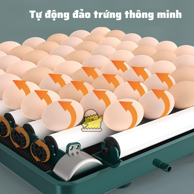 Máy ấp trứng gà vịt gia cầm tự động mini AT009