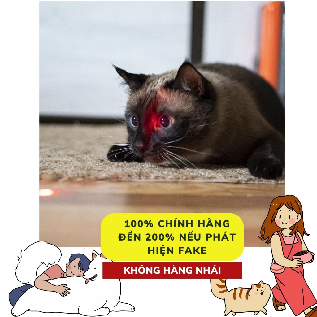Đèn laze đồ chơi chó mèo, đèn laser phụ kiện móc treo chìa khóa
