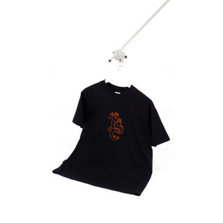 Áo thun flame crystal tsc
