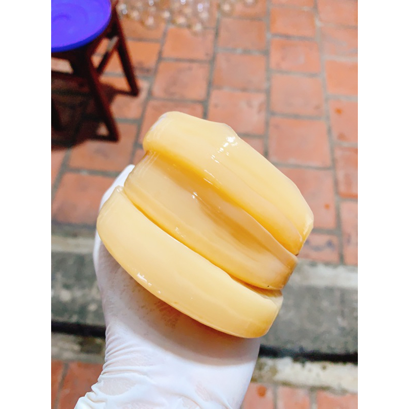 Scoby + nước mồi làm trà kombucha siêu dày