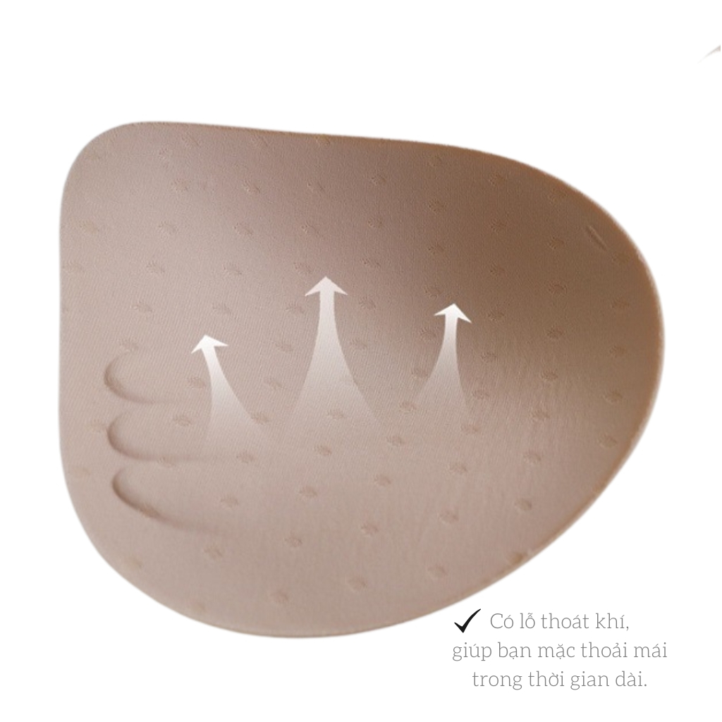 Mút đệm áo lót nữ Basil M22 cao su non thoáng khí