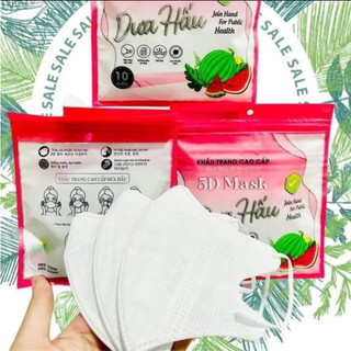 Thùng 100 Chiếc Khẩu Trang 5D Mask Dưa Hấu