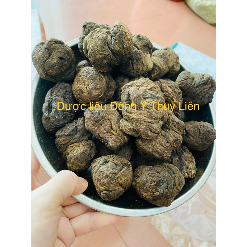 SINH ĐỊA LOẠI 1