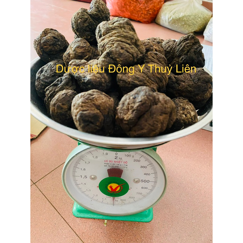 SINH ĐỊA LOẠI 1