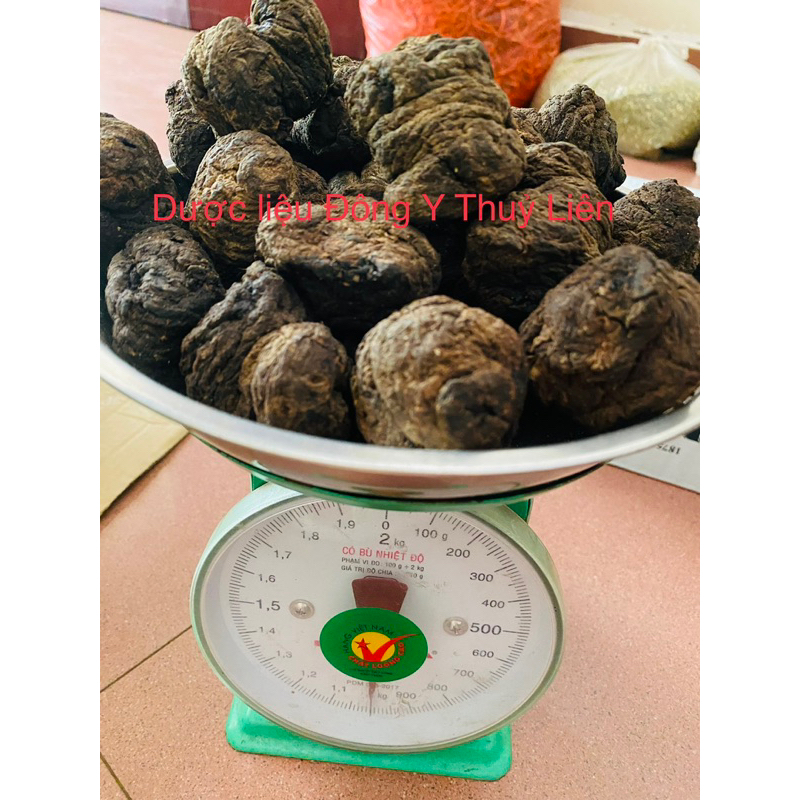 SINH ĐỊA LOẠI 1