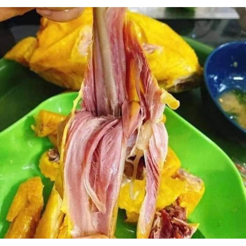 Gà ủ muối hoa tiêu không đầu