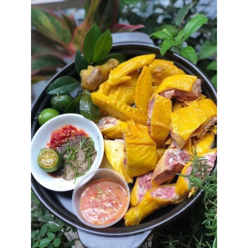 Gà ủ muối hoa tiêu không đầu