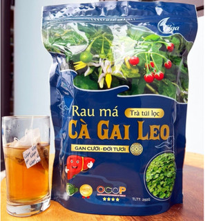  Trà Túi Lọc Rau Má - Cà Gai Leo- Hỗ trợ giải độc mát gan thanh nhiệt cơ thể. 