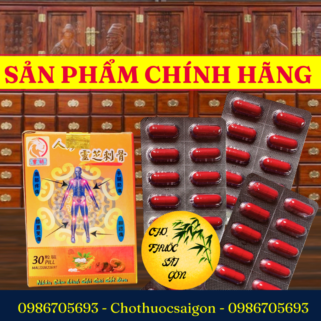( CAM KẾT HÀNG LOẠI 1 ) Nhân sâm linh chi gai cốt đơn 30v