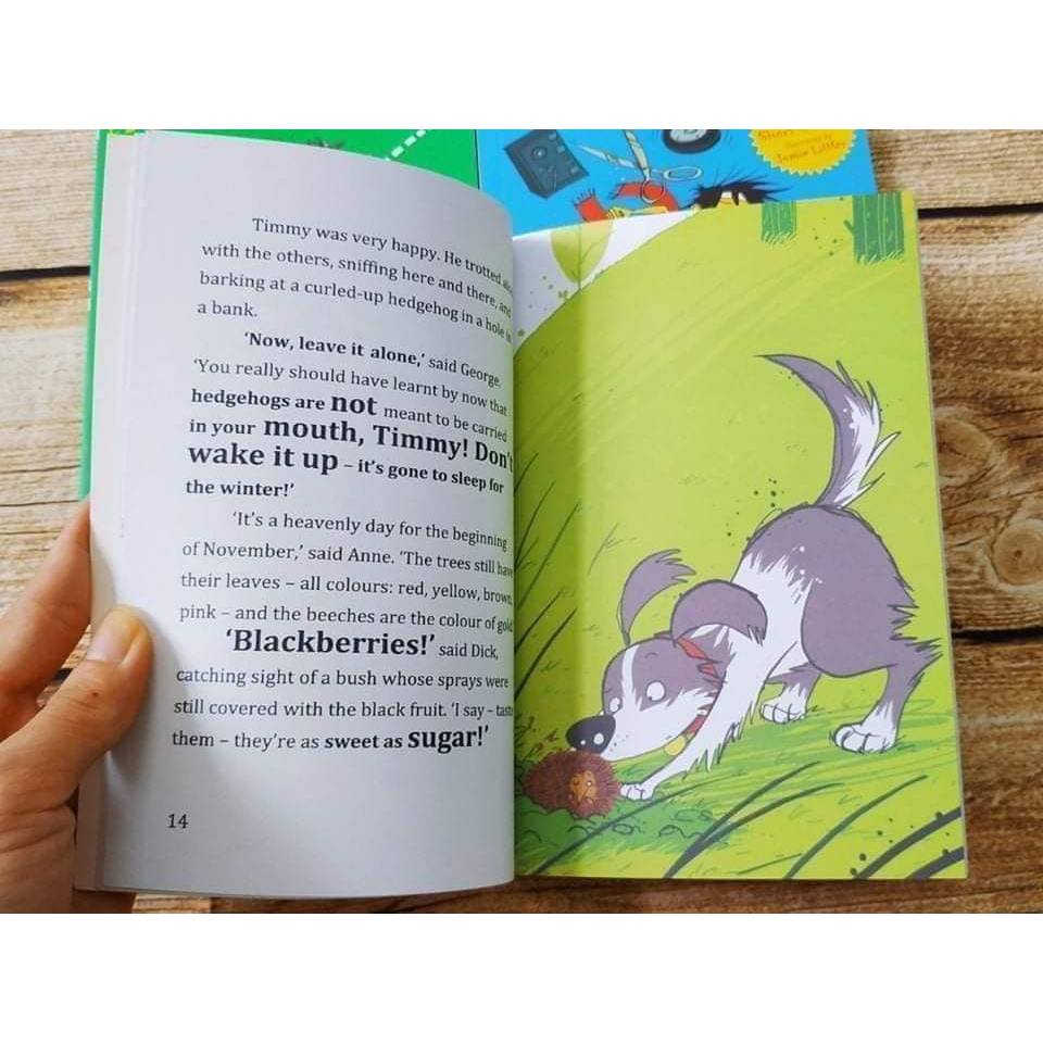 The Famous Five Adventures 9q nhập